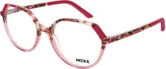 MEXX 2591