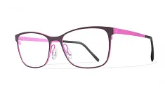 Blackfin BF817 SALISHAN