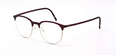 Silhouette 2990 75