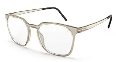 Silhouette 2980 75