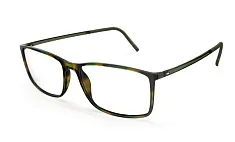 Silhouette 2979 75