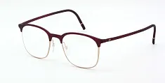 Silhouette 2989 75