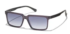 Filos 5246
