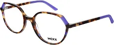 MEXX 2591