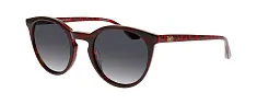 Солнцезащитные очки William Morris  80002 9045