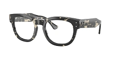 Ray-Ban 0RX0298V