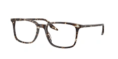 Ray-Ban 0RX5421