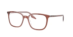 Ray-Ban 0RX5406