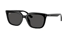 Ray-Ban 0RB4439D