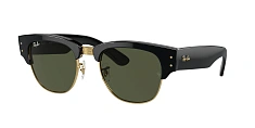 Ray-Ban 0RB0316S
