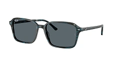 Ray-Ban 0RB2231