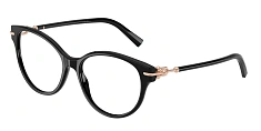 Tiffany & Co. 0TF2289