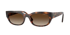 Vogue Eyewear 0VO5669S