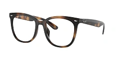 Ray-Ban 0RX4379VD