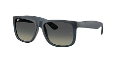 Ray-Ban 0RB4165