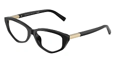 Tiffany & Co. 0TF2276