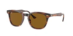 Ray-Ban 0RB2298