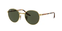 Ray-Ban 0RB3691
