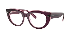 Ray-Ban 0RX5586