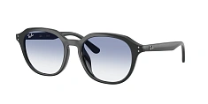 Ray-Ban 0RB4459D