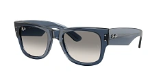 Ray-Ban 0RB0840S