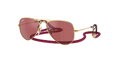 Ray-Ban 0RJ9506S
