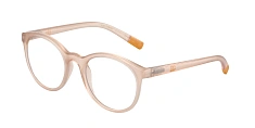 Оправа Dolce & Gabbana  0DX5095/3041 