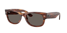 Ray-Ban 0RB0832S