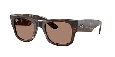 Ray-Ban 0RB0840S