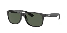 Ray-Ban 0RB4202