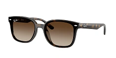 Ray-Ban 0RB4461D