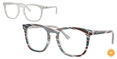 Ray-Ban 0RX2210V