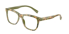 Оправа Dolce & Gabbana  0DX3356/3488 