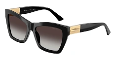 Солнцезащитные очки JIMMY CHOO  0JC5031/50336I