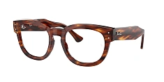 Ray-Ban 0RX0298V