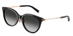 Tiffany & Co. 0TF4243D