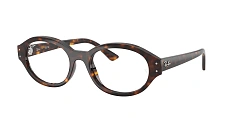 Ray-Ban 0RX7257