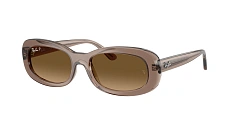 Ray-Ban 0RB2221