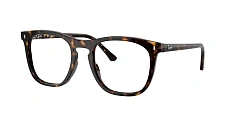 Ray-Ban 0RX2210V