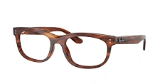 Ray-Ban 0RX5489