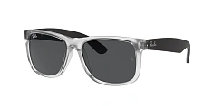 Ray-Ban 0RB4165