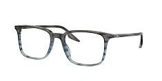 Ray-Ban 0RX5421