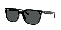 Ray-Ban 0RB4466D