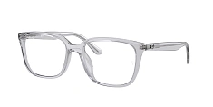 Ray-Ban 0RX7248D