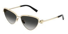 Tiffany & Co. 0TF3107KB