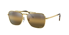 Ray-Ban 0RB3636