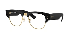 Ray-Ban 0RX7316V
