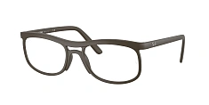 Ray-Ban 0RX7254