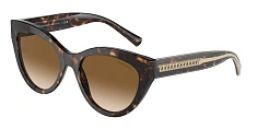 Tiffany & Co. 0TF4220