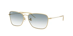 Ray-Ban 0RBR0102S
